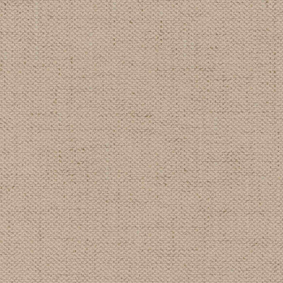 Моли 11