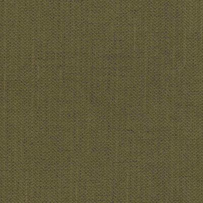 Моли 38