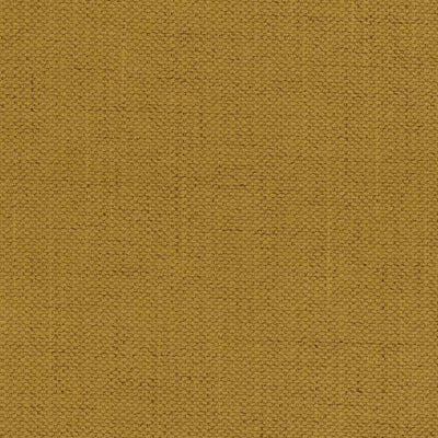 Моли 46