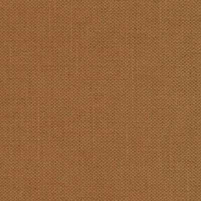 Моли 51